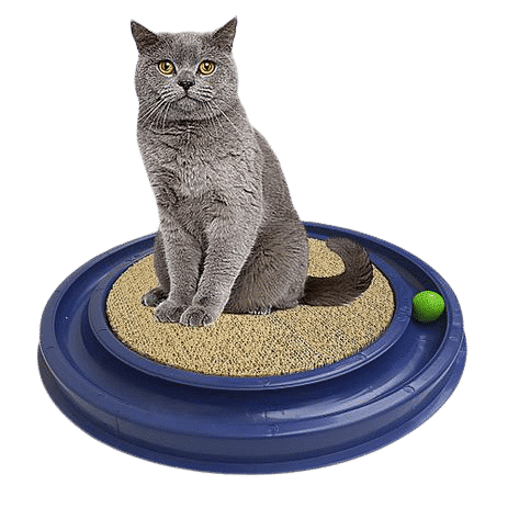Brinquedo Cat Pet Azul - Imagem 5