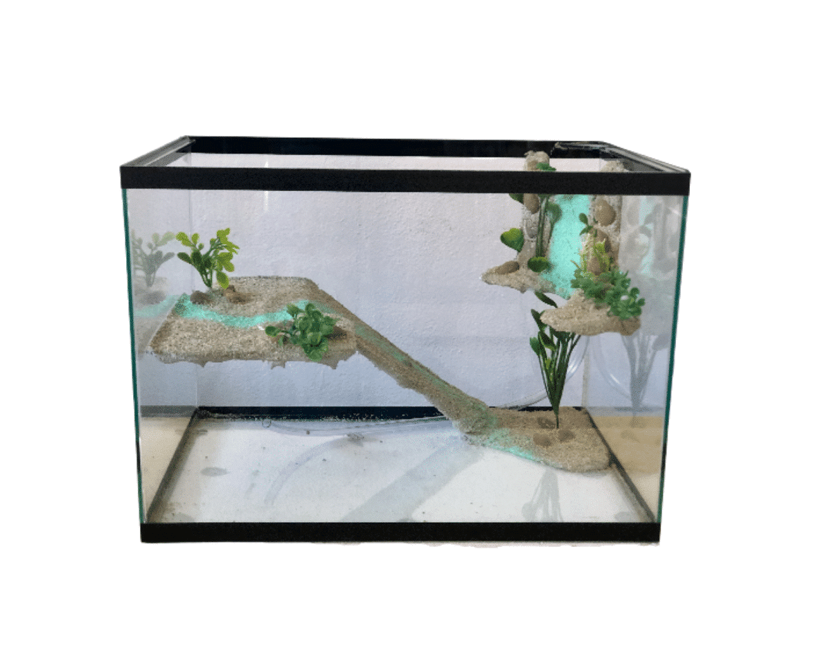 Terrário com Cascata (50cm x 25cm x 35cm)