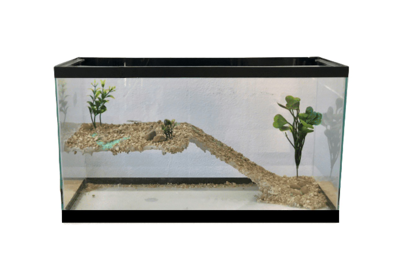 Terrário com Plataforma (60cm x 26cm x 30cm)