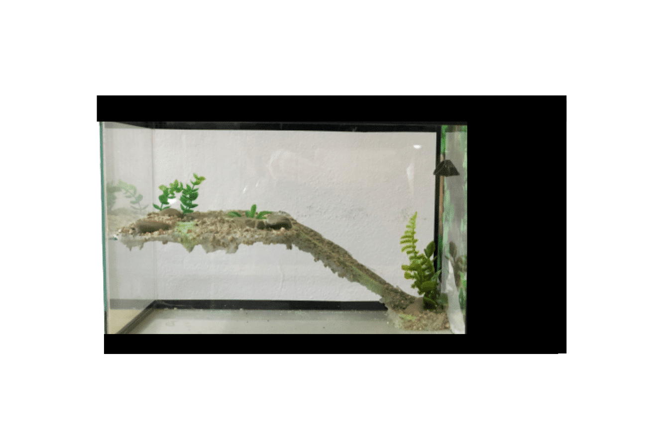 Terrário com Sistema de Filtragem (50cm x 25cm x 30cm)