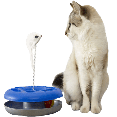 Brinquedo Kitty Ball (24cm x 8cm)