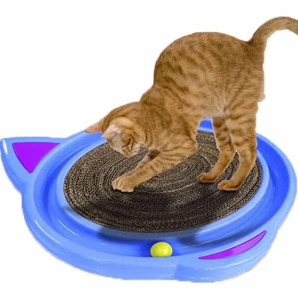 Brinquedo Cat Crazy Azul - Imagem 4