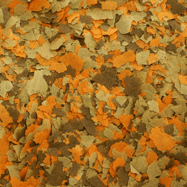 Alcon Colours (10g) - Imagem 4