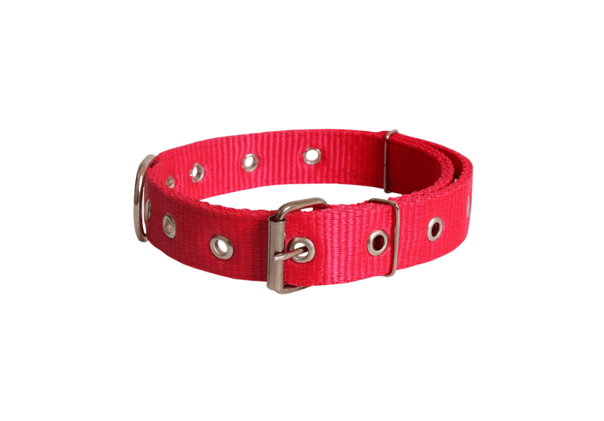 Coleira Nylon N°4 (50cm - 6 unidades)