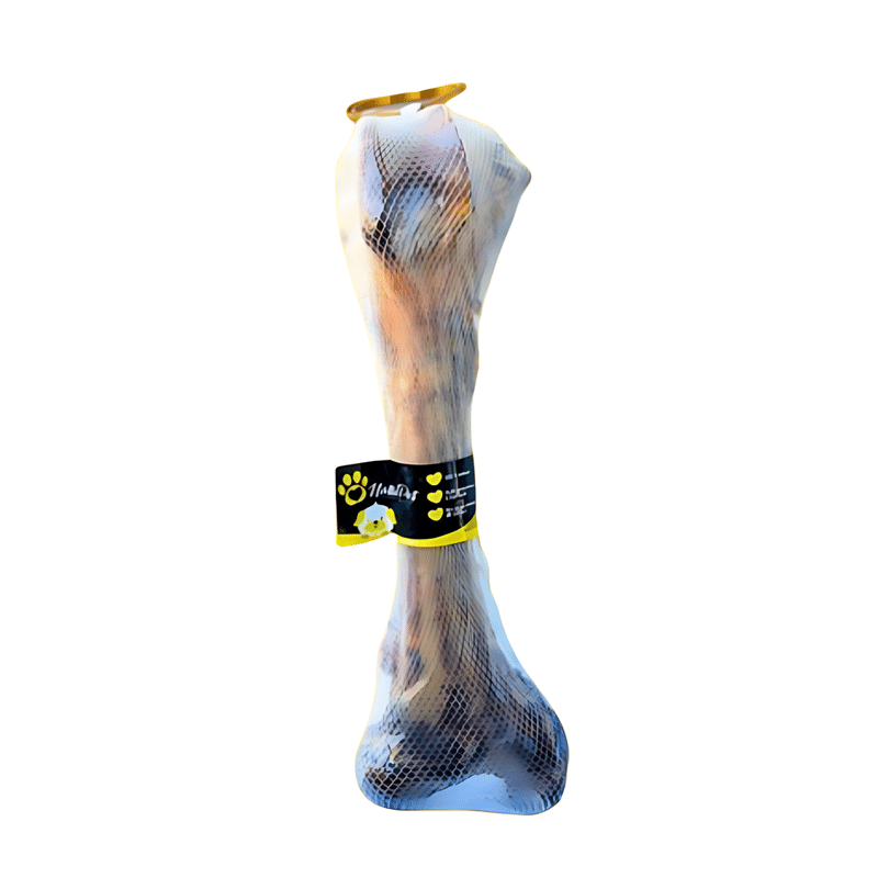 Úmero Bovino Nattupet (1 Unidade)