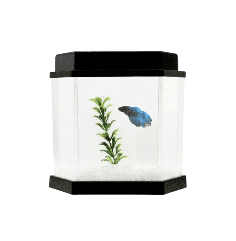 Beteira BettaFlex 5,5 Litros (25cm x 17cm)