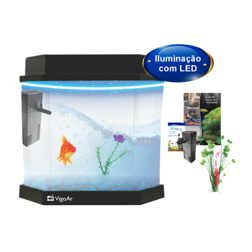 Beteira Aqua Kit 2.0 | 5,5 Litros