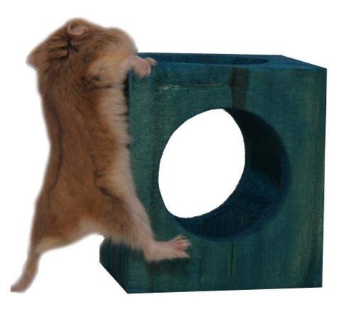 Brinquedo Cubo Play Mini (7cm x 6,5cm) - Imagem 2