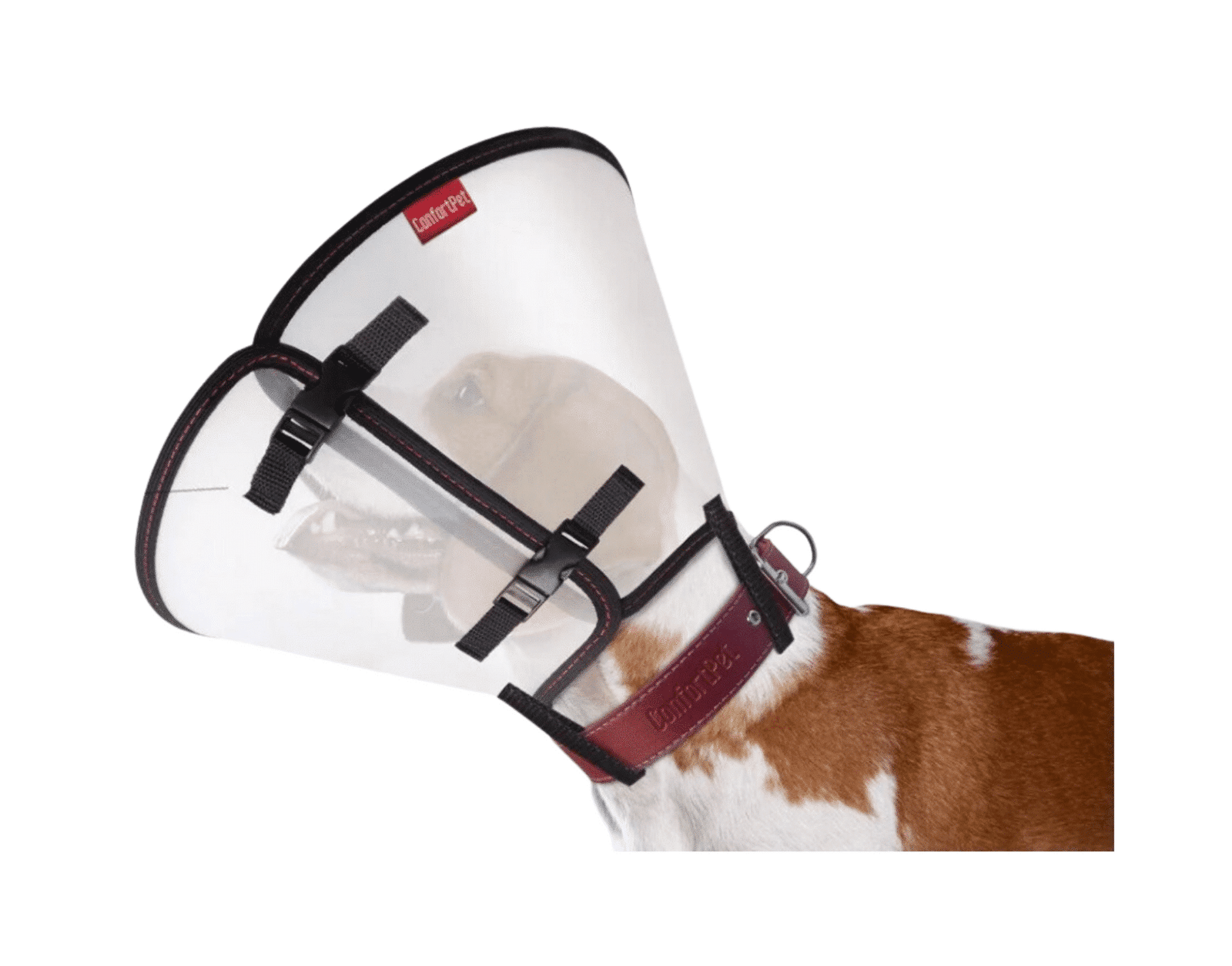 Colar Gato Azul PVC Extra Grande (22cm) - Imagem 2