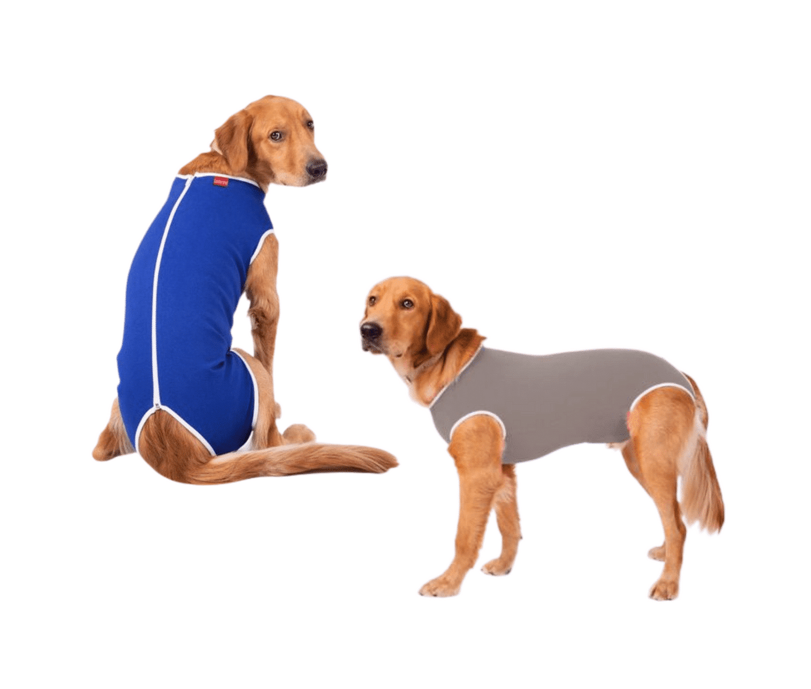 Roupa Cirúrgica Confort Cães Colorida Nº14 (47kg a 55kg)