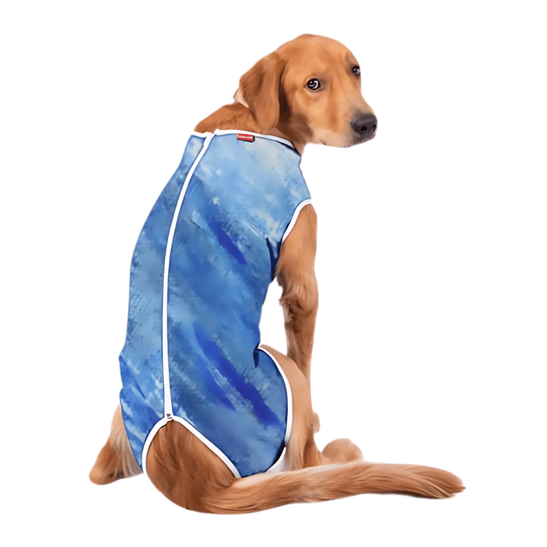 Roupa Cirúrgica Dry Cães Nº1 (1,5kg a 2,5kg)