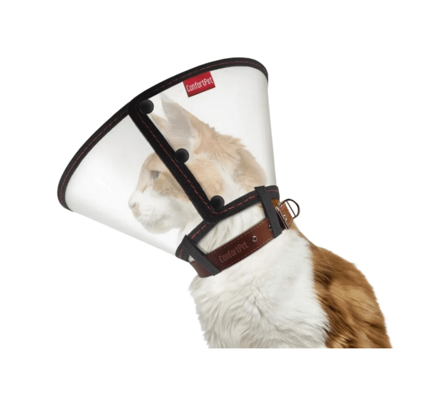 Colar Elizabetano Gato Pequeno (18cm)