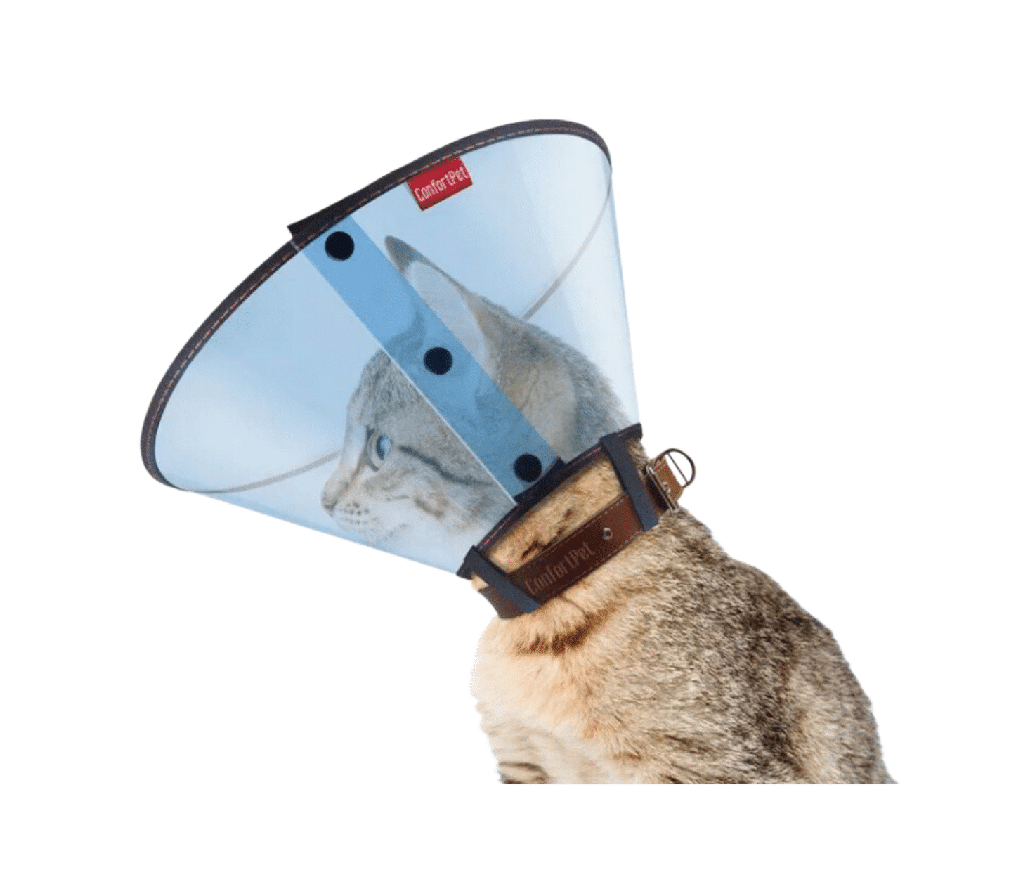 Colar Gato Azul PVC Grande (21cm)