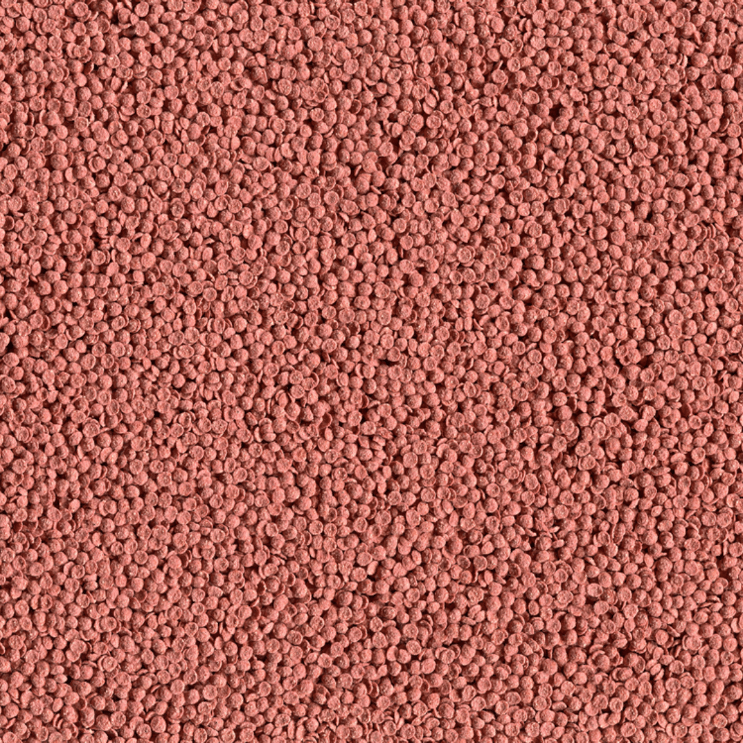 Alcon Acará Disco (105g) - Imagem 2