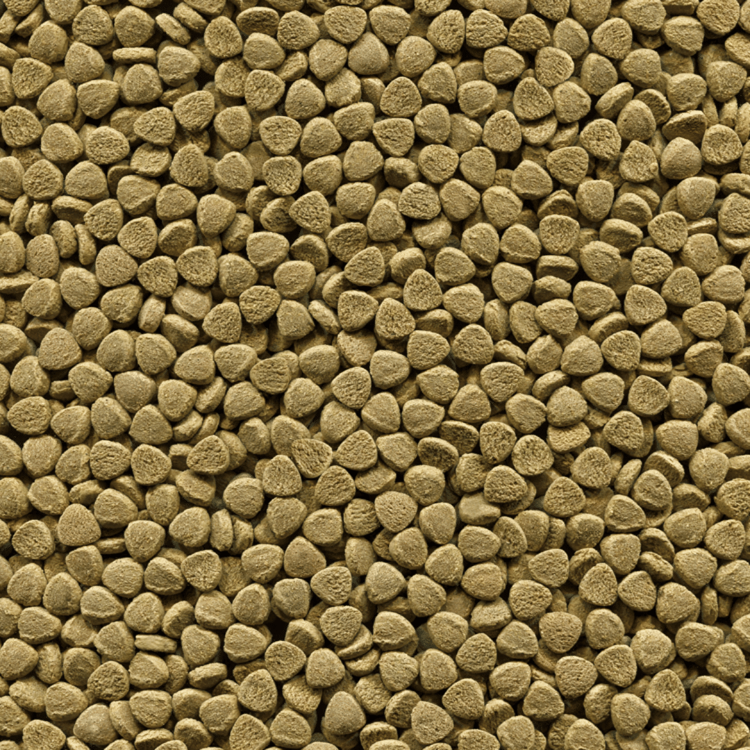 Alcon Bottom Fish (1kg) - Imagem 2