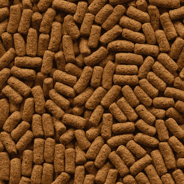 Alcon Carnívoros (90g) - Imagem 4