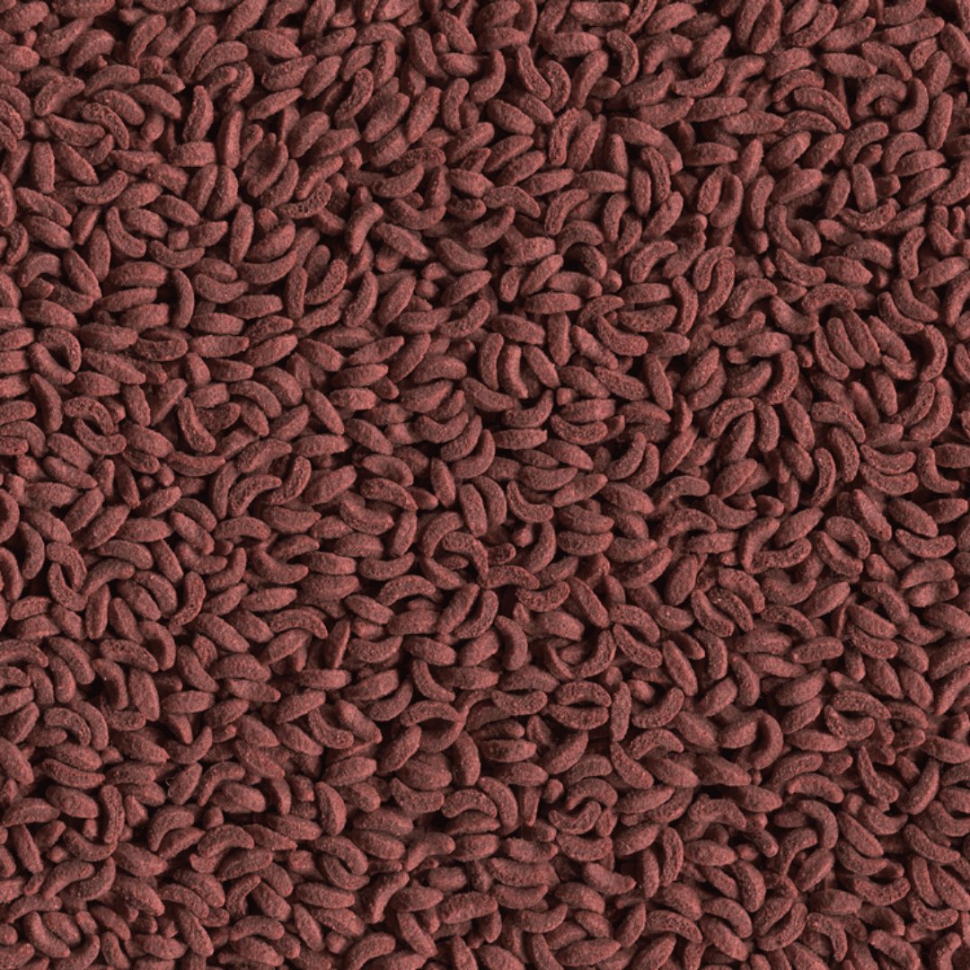 Alcon Carnívoros Superfície (80g) - Imagem 14