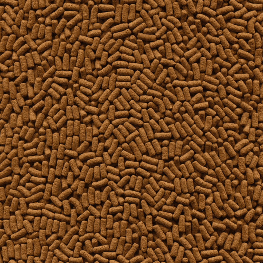 Alcon Carnívoros (300g) - Imagem 2