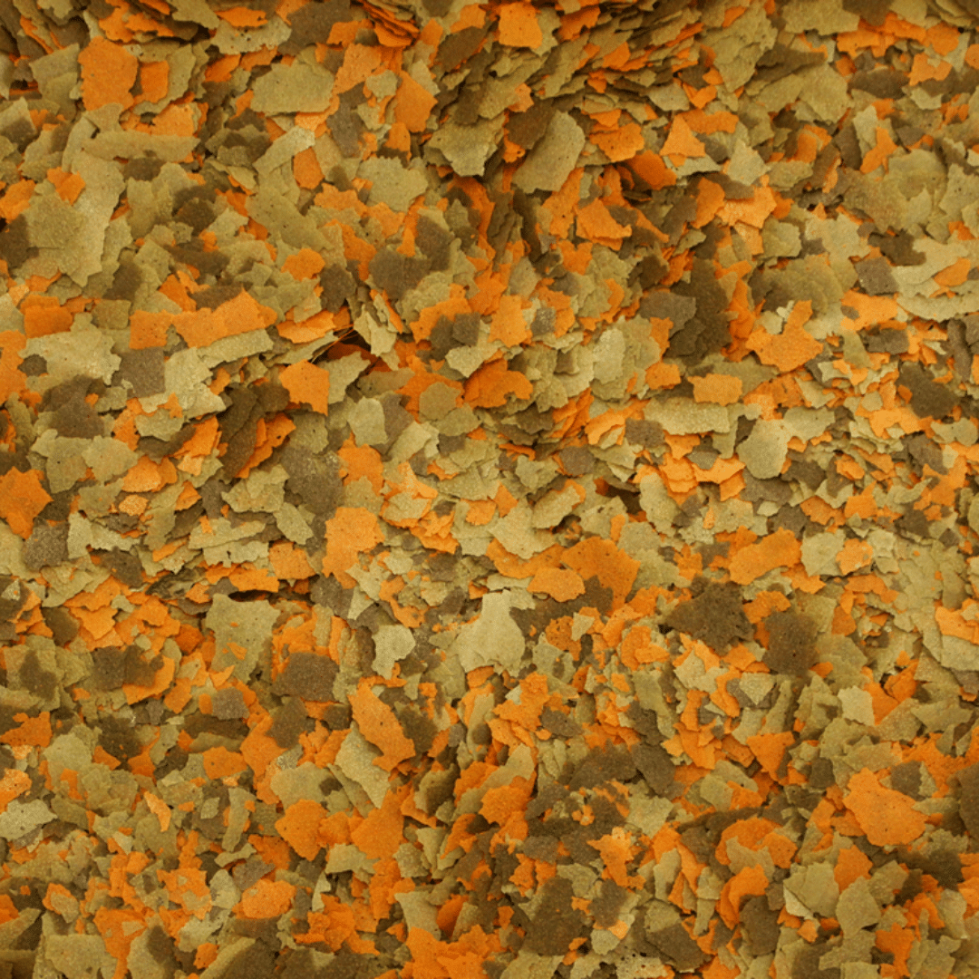 Alcon Colours (10g) - Imagem 2