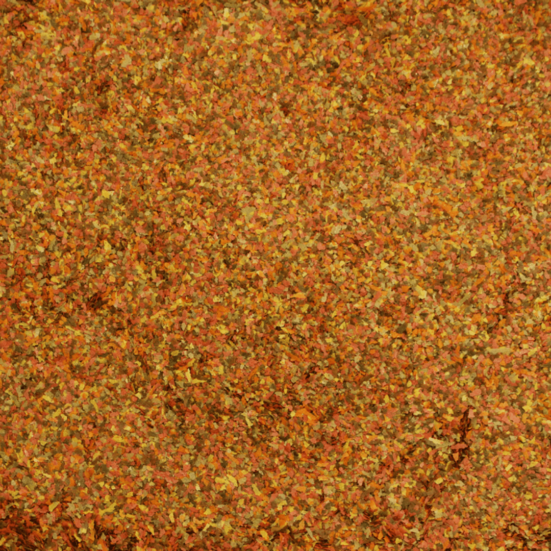 Alcon Guppy (10g) - Imagem 2
