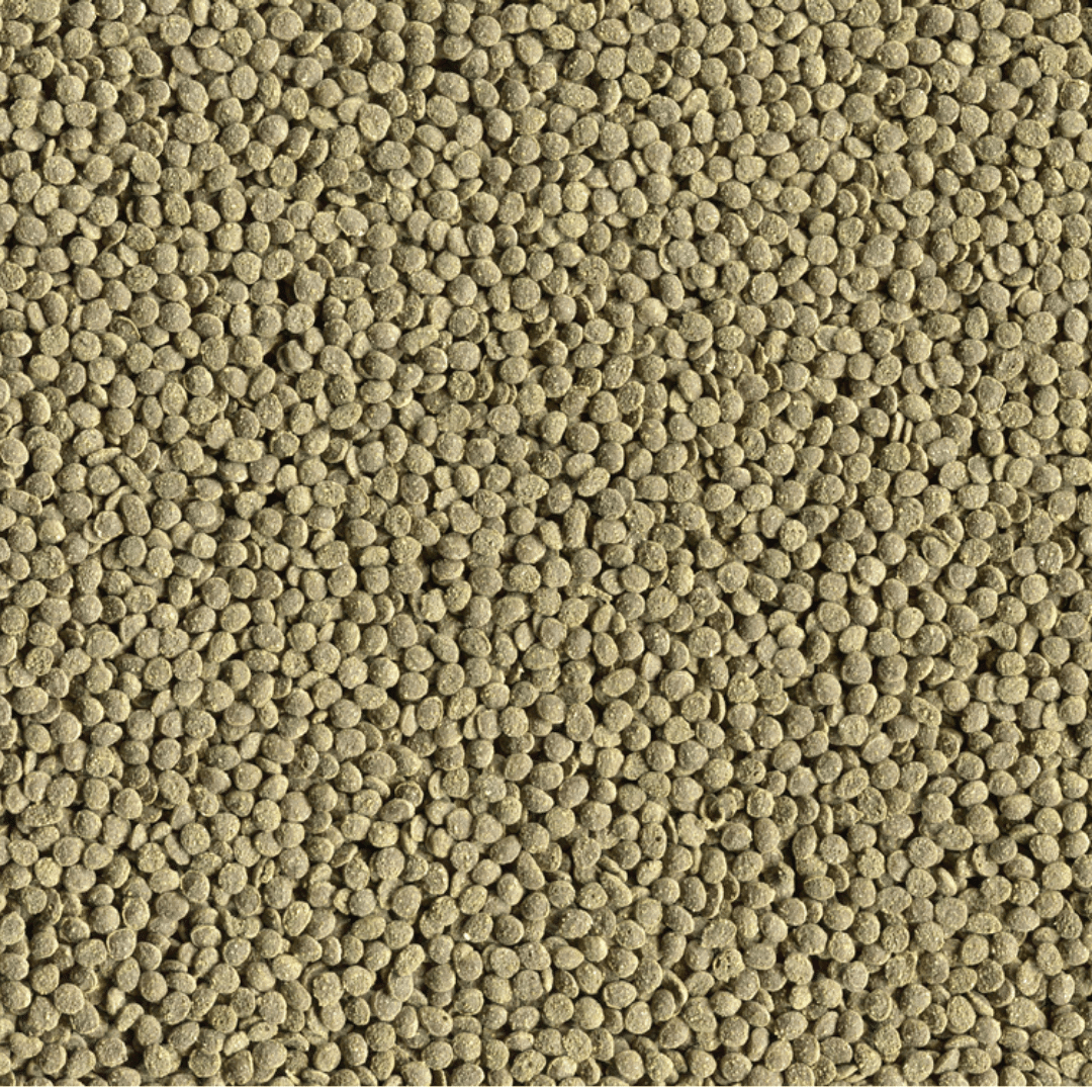 Alcon Herbívoros (30g) - Imagem 2