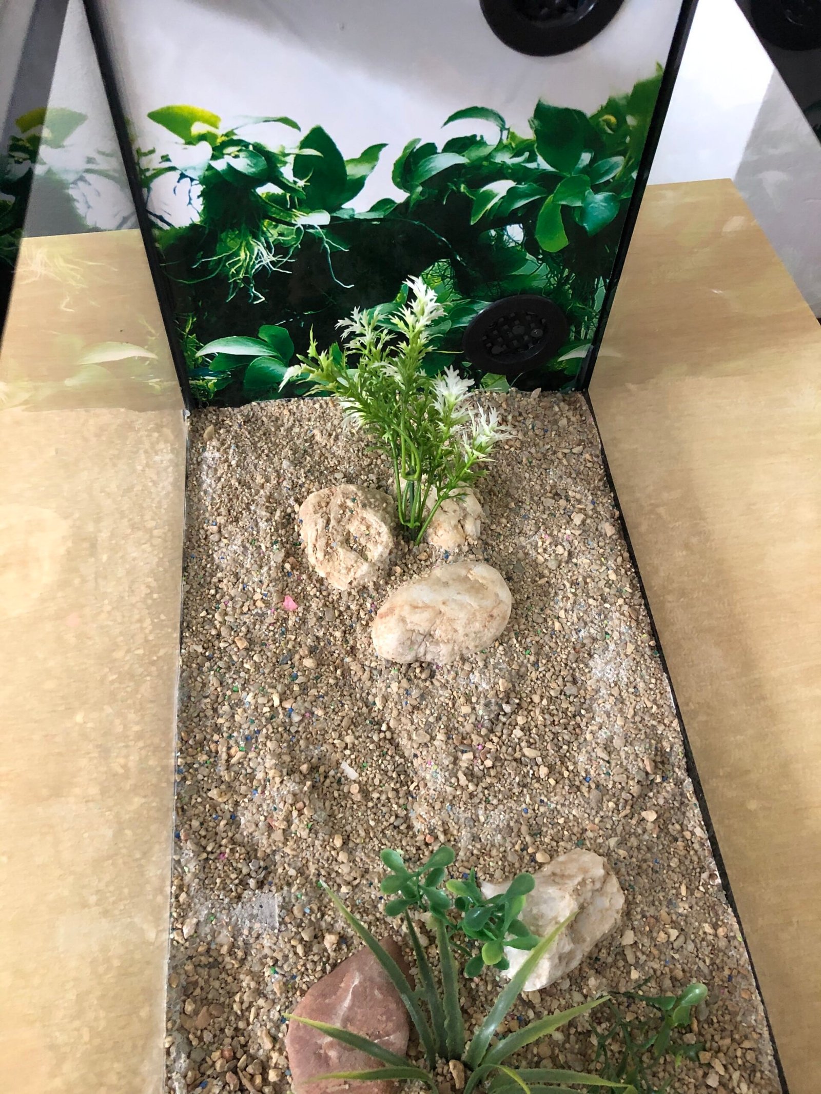 Aquário Filtragem com Iluminação (60cm x 25cm x 30cm) - Imagem 2