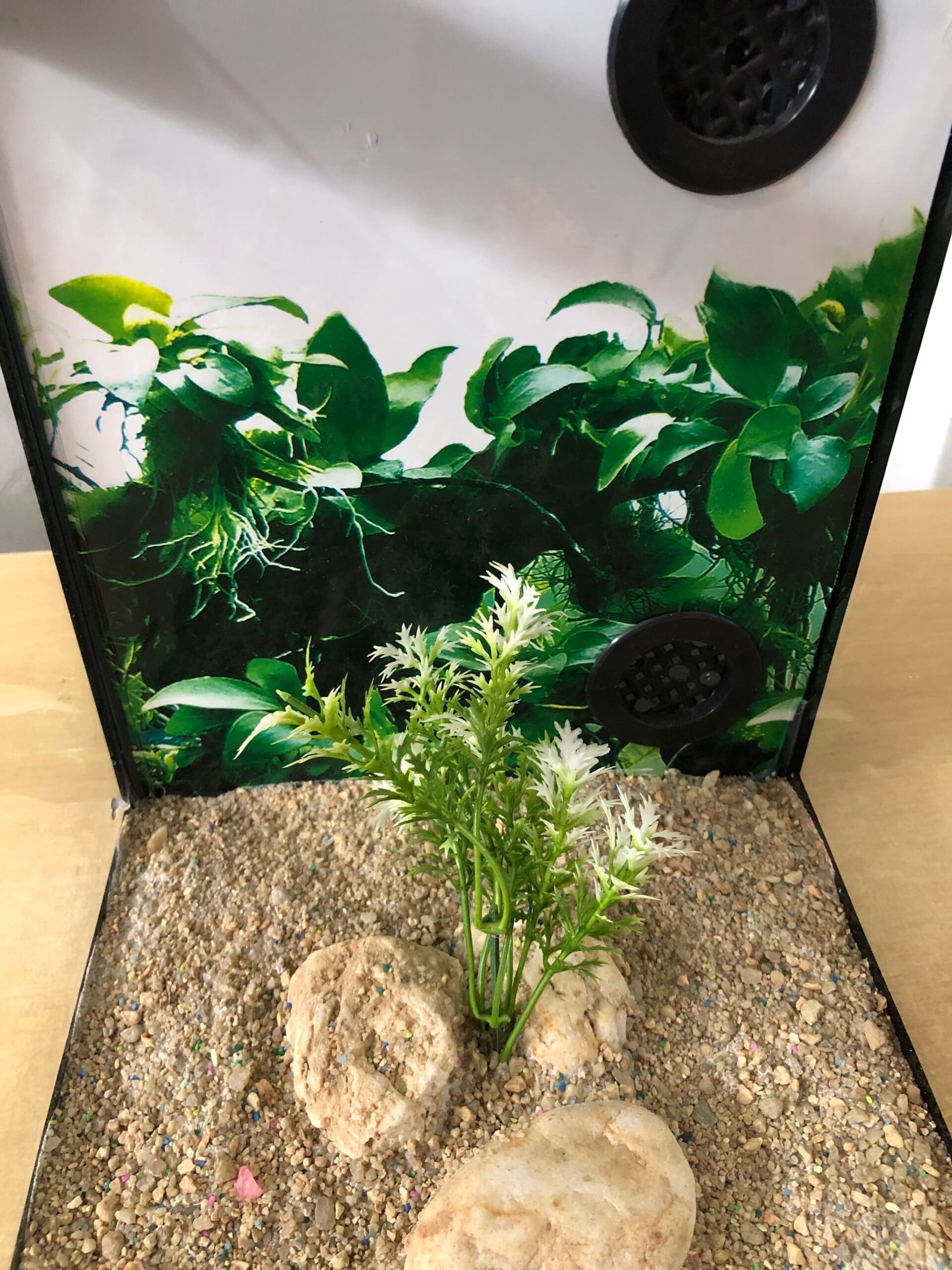 Aquário Filtragem com Iluminação (60cm x 25cm x 30cm) - Imagem 3