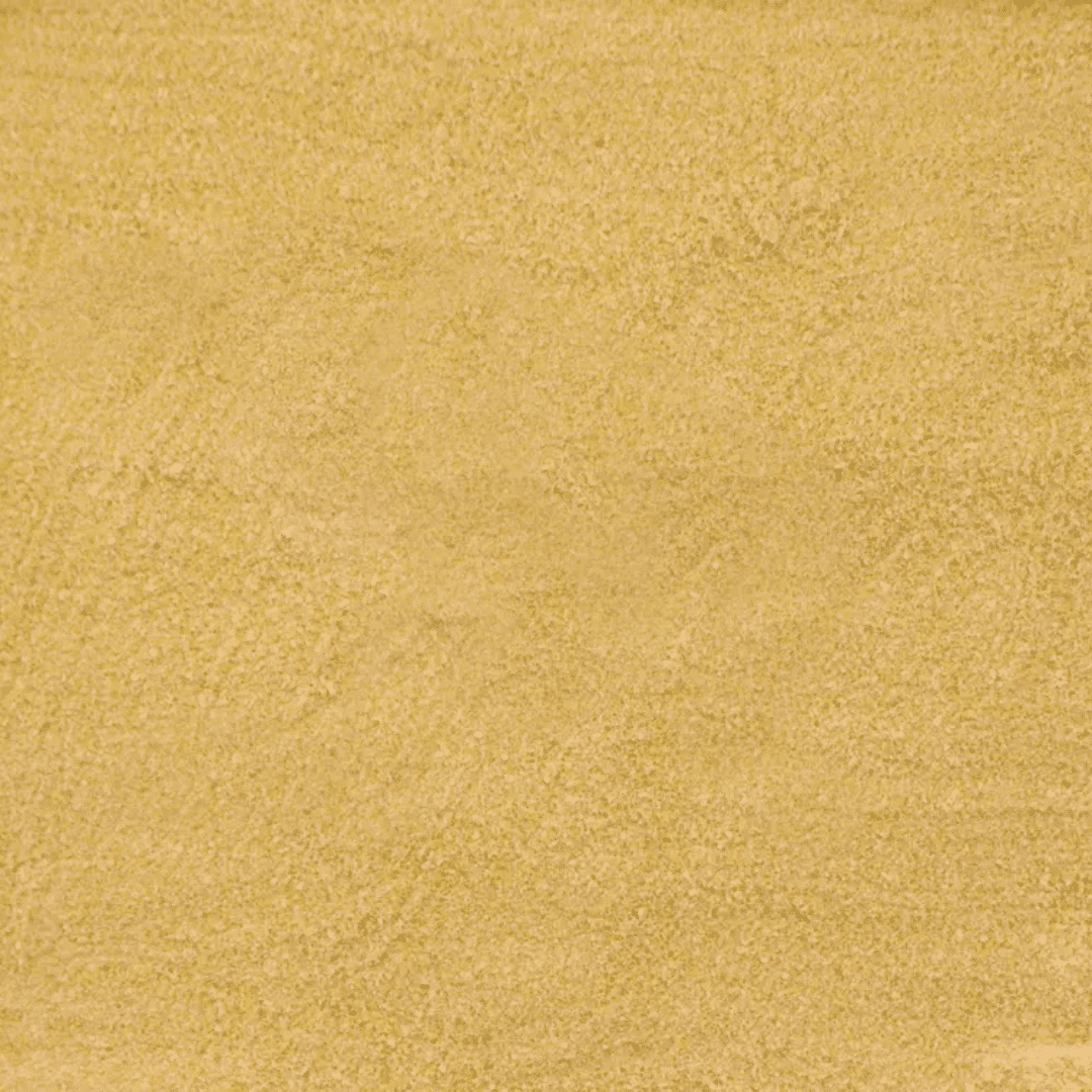 Alcon Club Papa para Filhotes Araras (600g) - Imagem 3