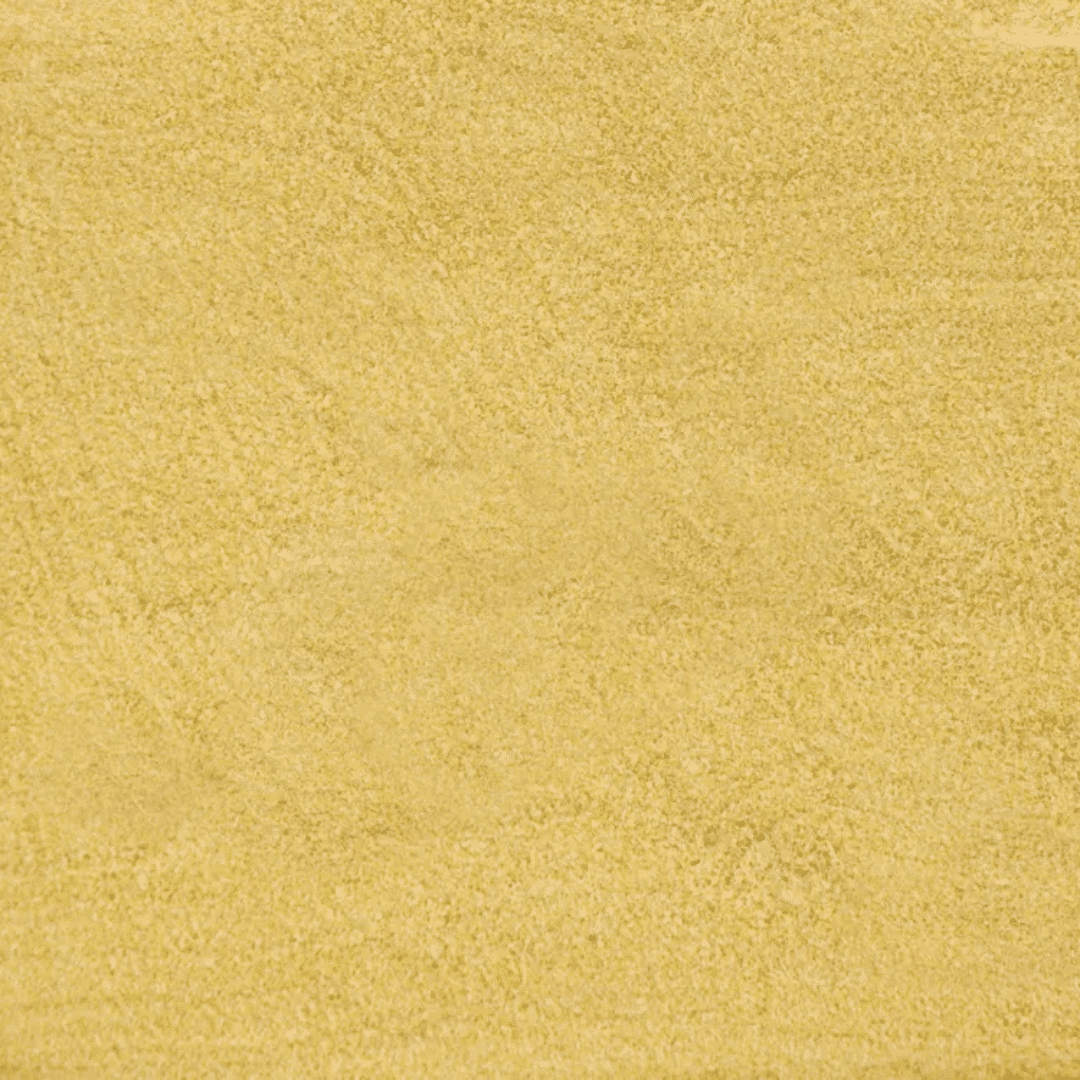 Alcon Club Papa para Filhotes Psitacídeos (160g) - Imagem 15