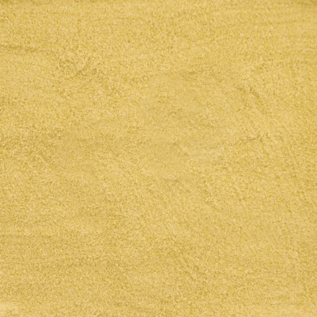 Alcon Club Papa para Filhotes Psitacídeos (160g) - Imagem 3