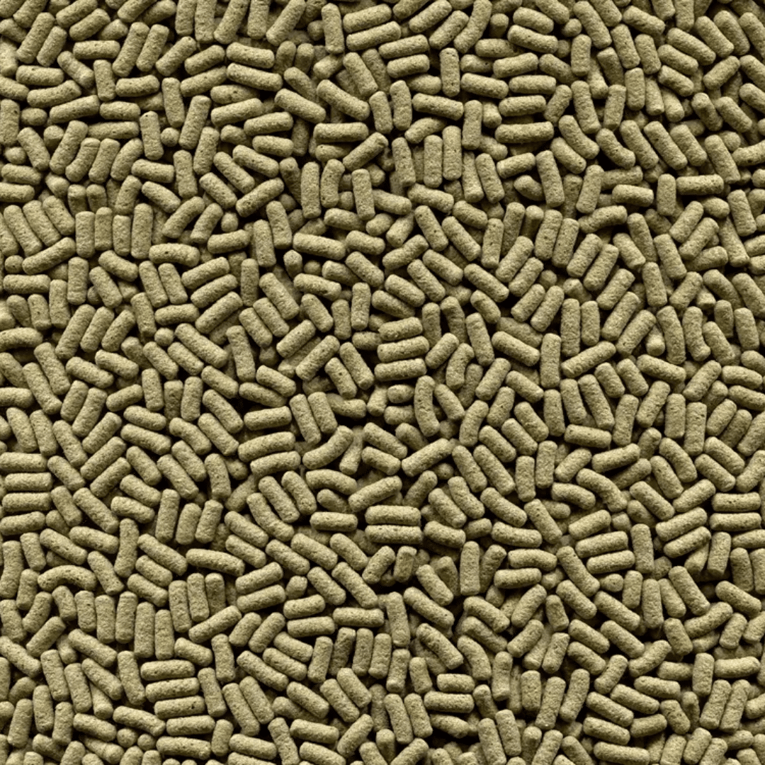 Alcon Club Reptolife (75g) - Imagem 2