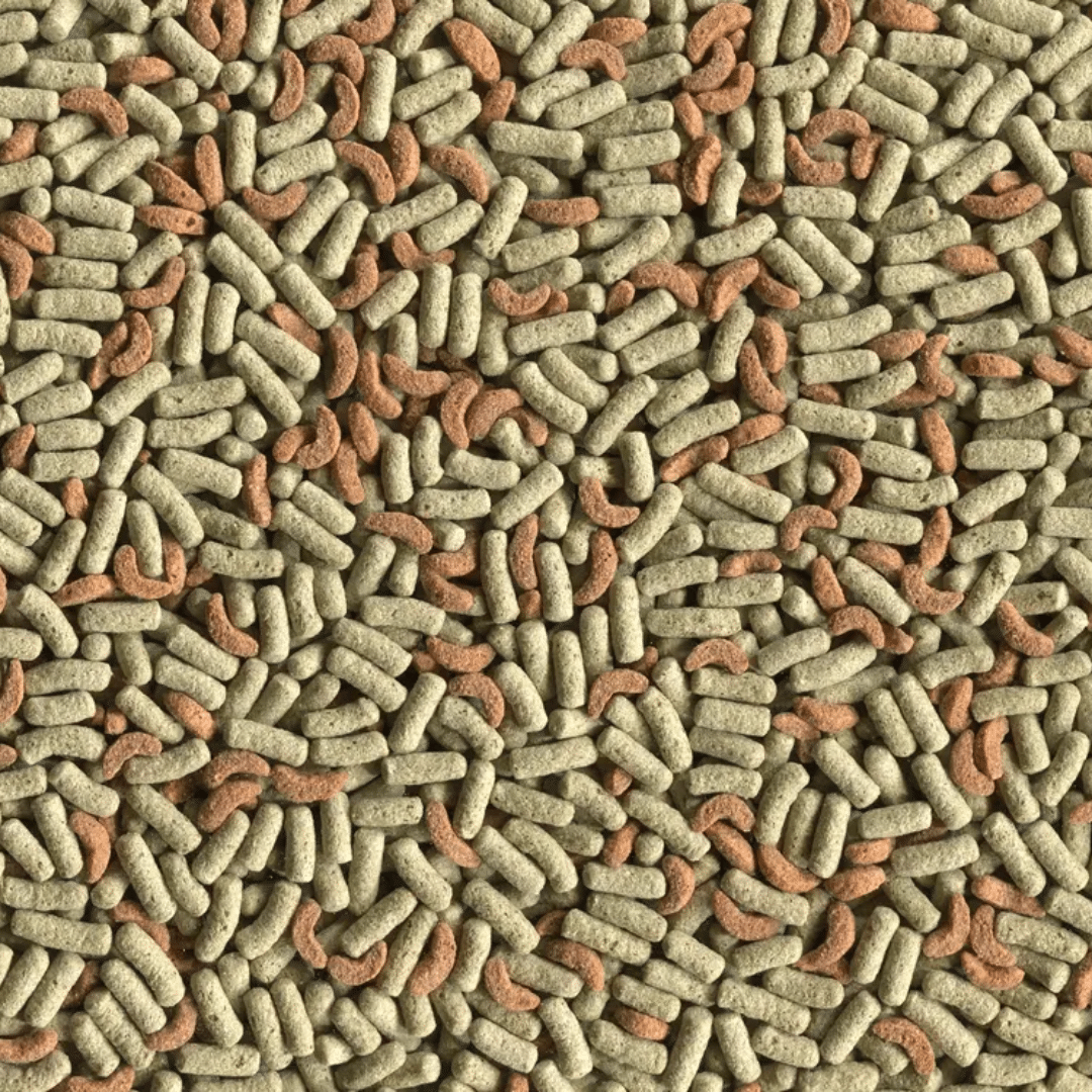 Alcon Club Reptomix Pro (280g) - Imagem 2