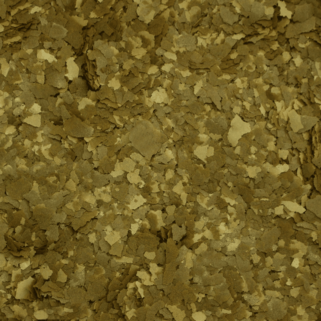 Alcon Spirulina (10g) - Imagem 7
