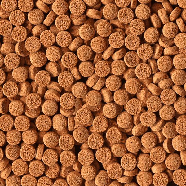 Alcon Carnívoros Fundo (145g) - Imagem 6