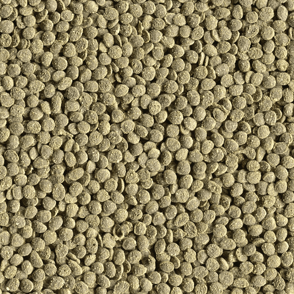 Alcon Herbívoros (30g) - Imagem 6