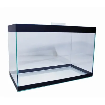 Aquário Individual (30cm x 14cm x 19cm)