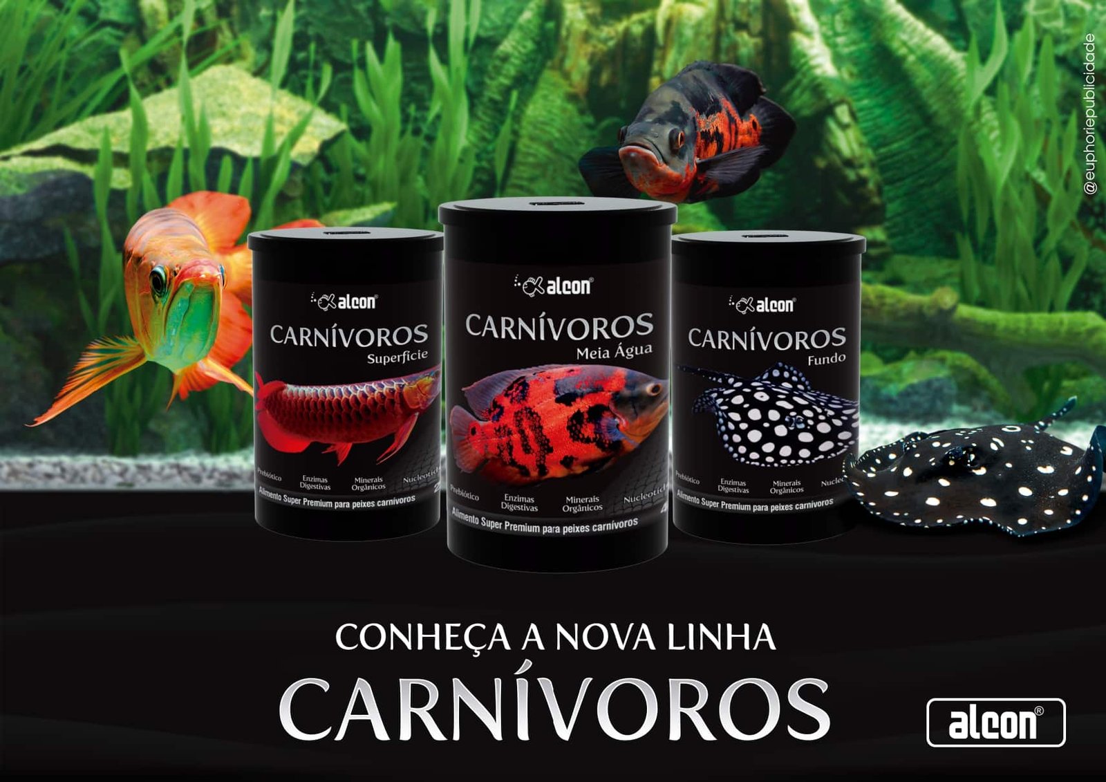 Alcon Carnívoros Fundo (145g) - Imagem 3